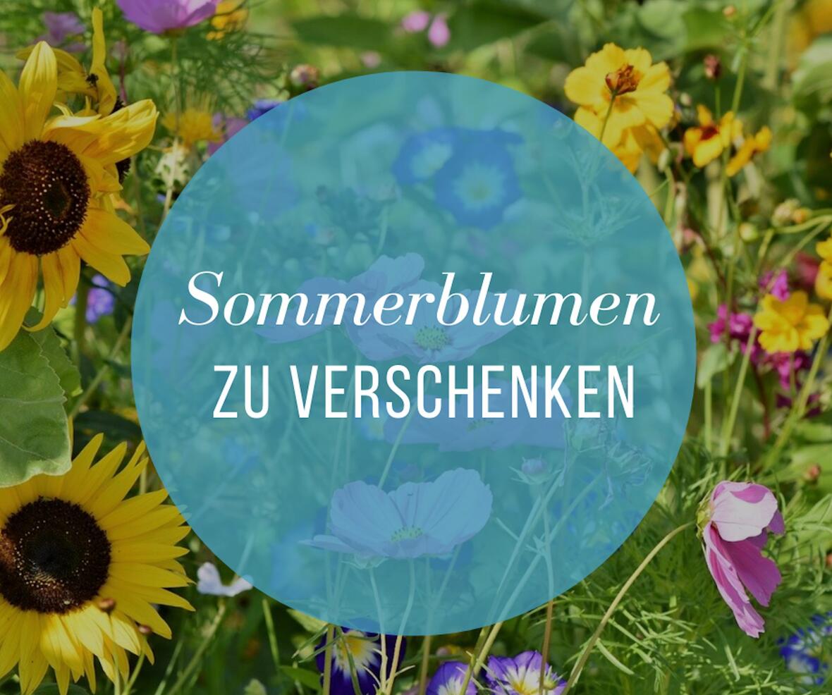 blumen-kostenlos-auf-dem-gelaende-der-landesgartenschau-abholen