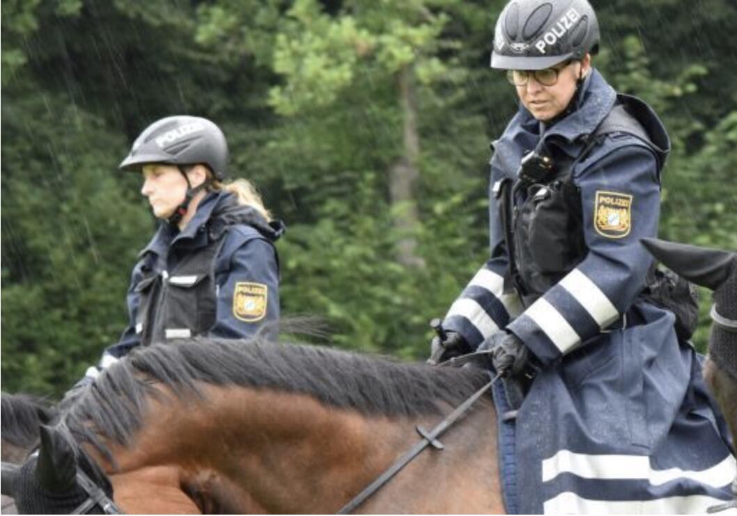 polizeipferde