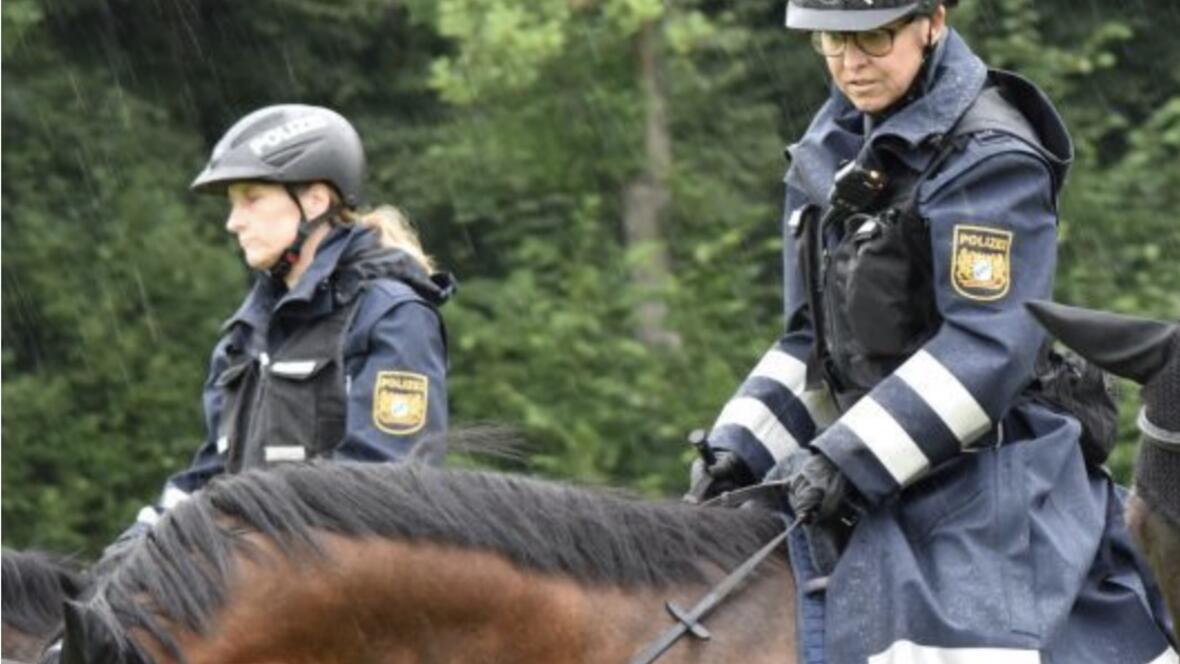 polizeipferde