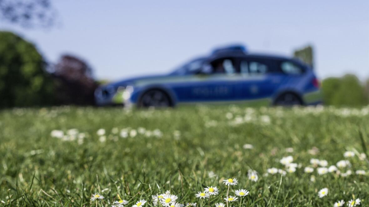 polizeiauto-auf-wiese